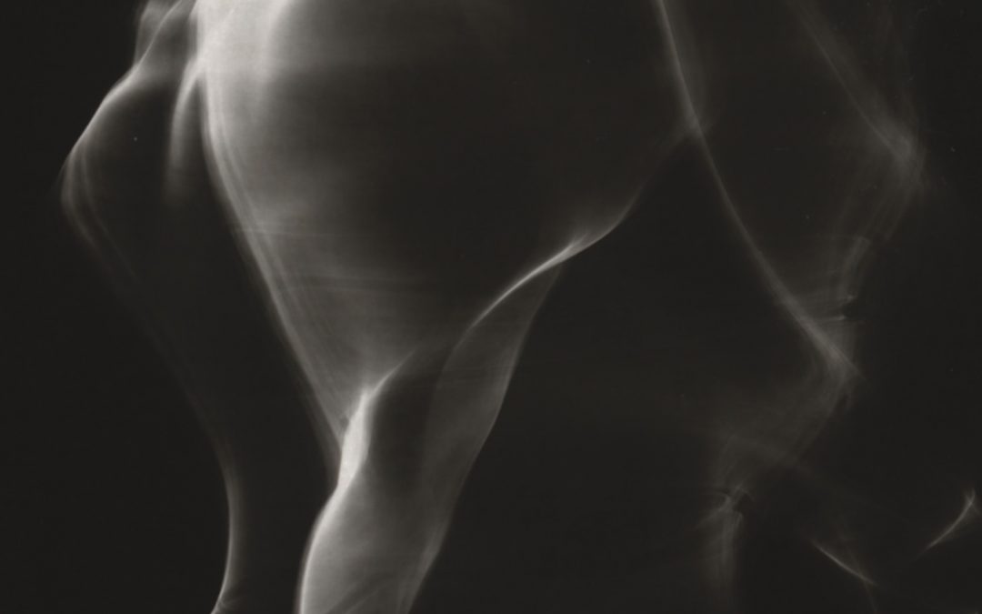 Annika Hippler: lightworks from the darkroom