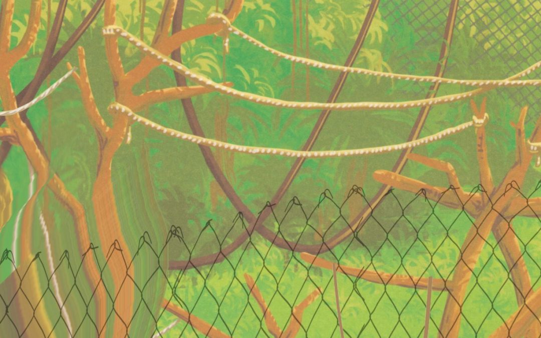 Anina Brisolla: Walled garden